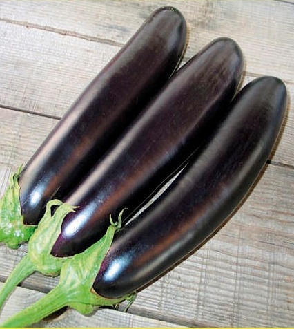 Рассада баклажанов Фаворит, 1шт