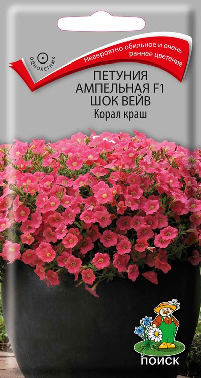 Петуния ампел. Шок Вейв Корал краш 5шт (Поиск)