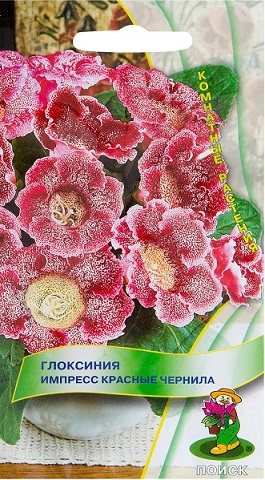 Глоксиния Импресс Красные чернила 5шт (Поиск)