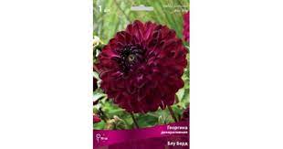 Георгина декоративная Блу Берд, 1шт