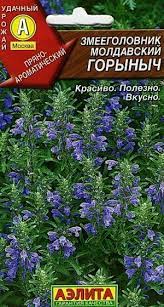 Змееголовник горыныч (А)