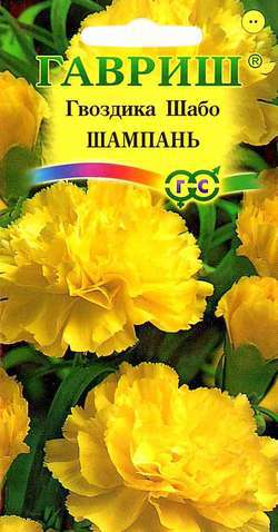 Гвоздика Шабо Шампань двулетн. Гавриш