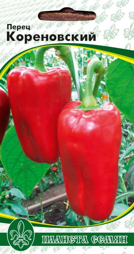 Кореновский 10 г