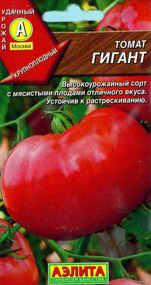 Гигант (А) томат