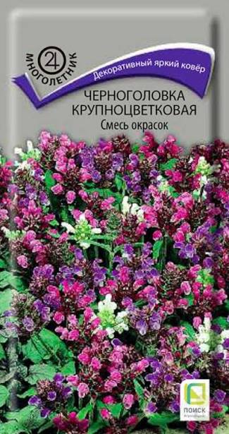 Черноголовка  смесь окрасок Поиск