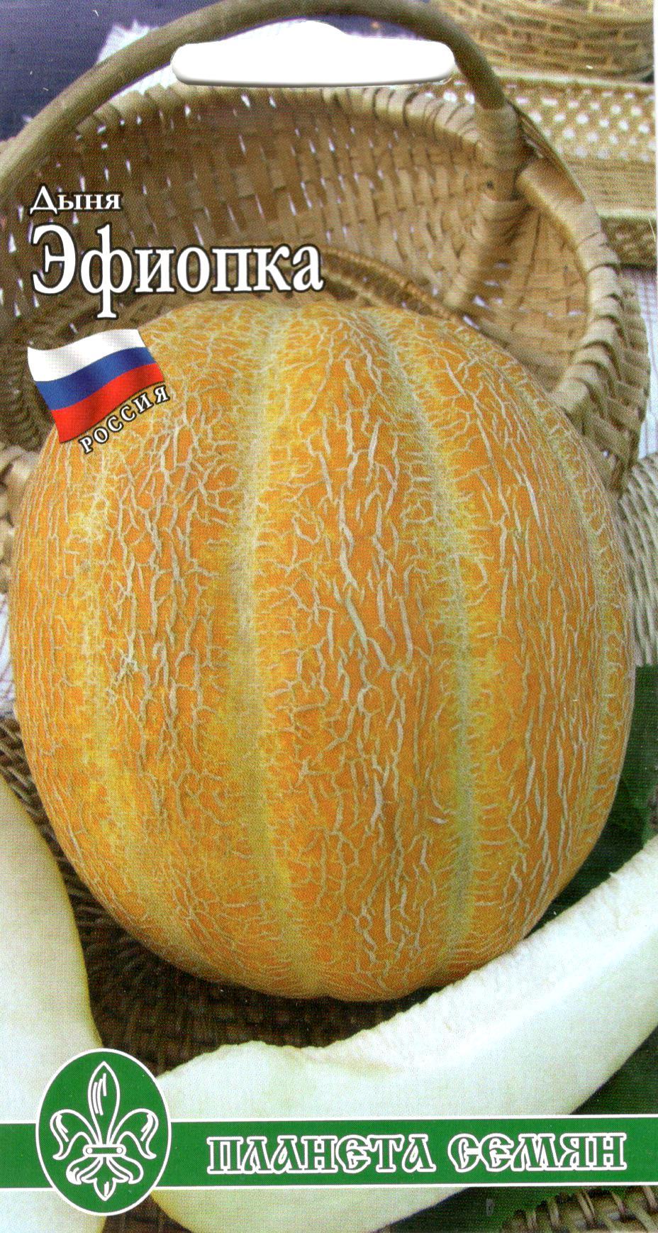 Эфиопка 50 с