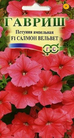 Петуния амп. Салмон Вельвет сурфиния Гавриш