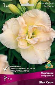 Лилейник гибридный Жан Свон 1шт