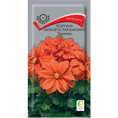 Георгина низкорослая Барокко Оранжевая 0,1 г (Поиск)