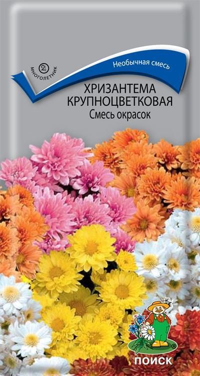 Хризантема крупноцветковая смесь 0,05г (Поиск)