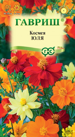 Космея Юля карликовая Гавриш