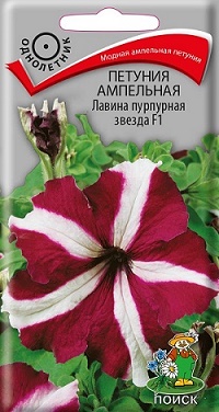 Петуния ампел. Лавина пурпурная звезда 10шт (Поиск)