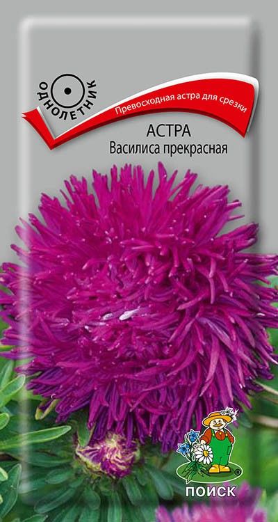 Василиса прекрасная 0,3 г (Поиск)
