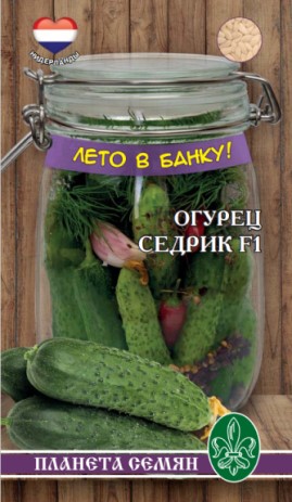 Седрик F1 8 шт ЛЕТО В БАНКУ