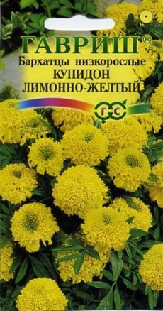 Бархатцы Купидон лимонно-желтый (20 см.) 0,05гр Гавриш