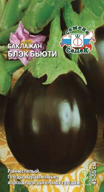 Блэк Бьюти Седек