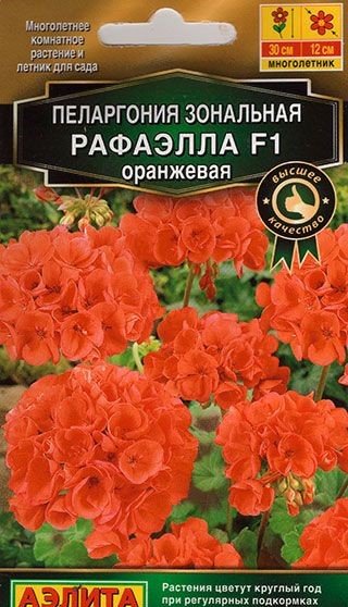 Пеларгония Рафаэлла оранж. (А)