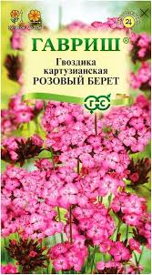 Гвоздика картузианская Розовый берет Гавриш