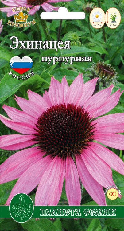 Эхинацея пурпурная 0,1гр п/с 