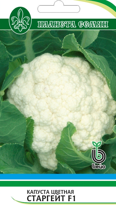 Цветная Старгейт F1 ран. п/с 10шт  