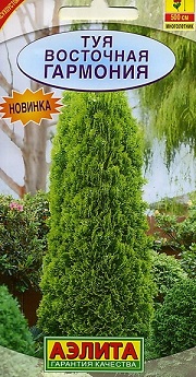 Туя восточная Гармония (А)