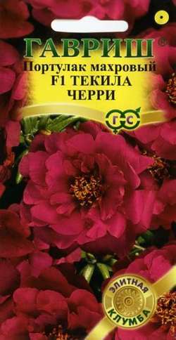 Портулак Текила Черри 5шт Гавриш