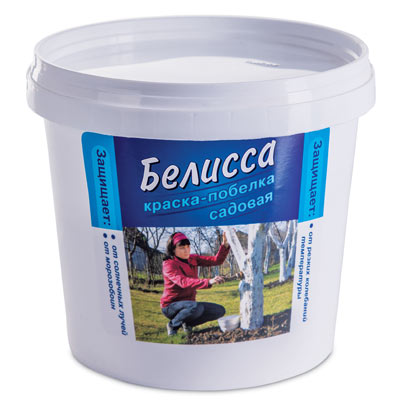 Краска Белисса (ведро 2,8кг) 4шт/кор