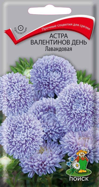 Валентинов день Лавандовая 0,2 г (Поиск)