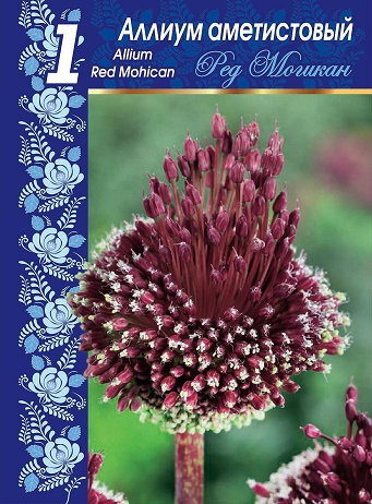 Аллиум аметистовый Ред Могикан, 1шт