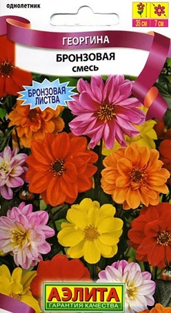Георгина Бронзовая смесь (А)