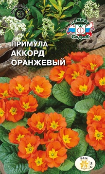 Примула Аккорд оранжевый (бесстебельная) 5гр Седек
