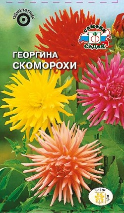 Георгина Скоморохи 0,2г Седек