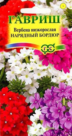 Вербена Нарядный бордюр Гавриш