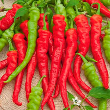 Бараний рог 25 г Поиск