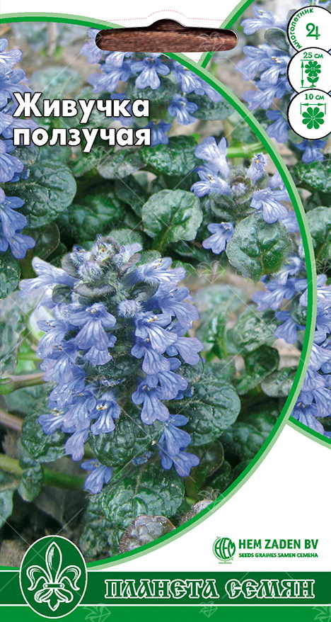 Живучка ползучая п/с 10шт 