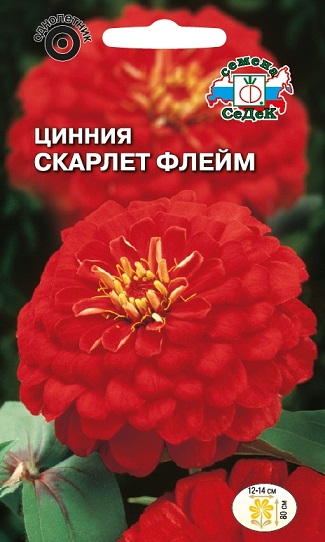 Цинния Скарлет флейм огнен.-крас. Седек
