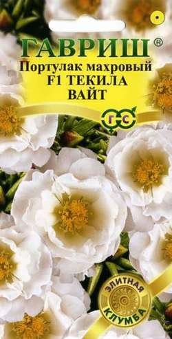 Портулак Текила Вайт 5шт Гавриш