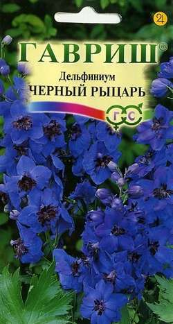 Дельфиниум Черный рыцарь Гавриш