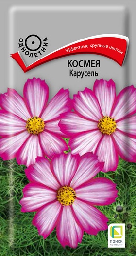 Космея Карусель (Поиск)