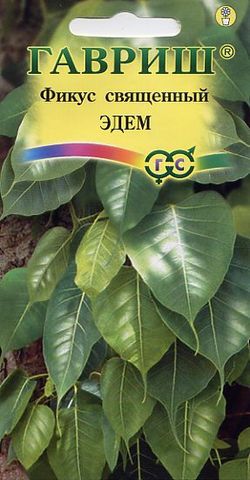 Фикус священный Эдем 0,03гр Гавриш