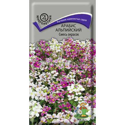 Арабис альпийский Смесь окрасок Поиск